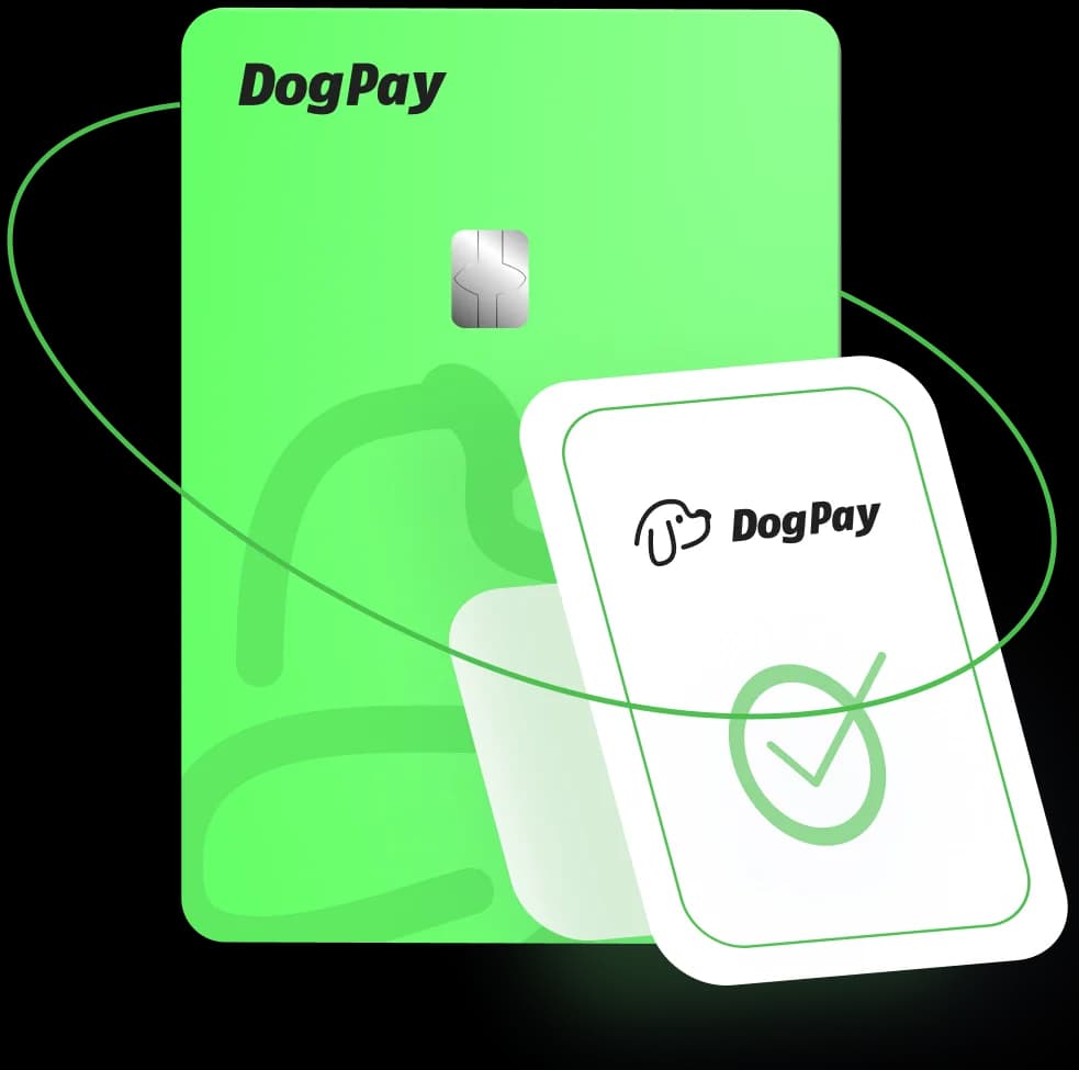 DogPay virtual and physical card official product visual